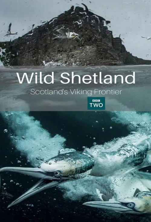 Wild Shetland: Scotland's Viking Frontier (фильм)