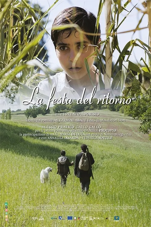 La festa del ritorno (movie)