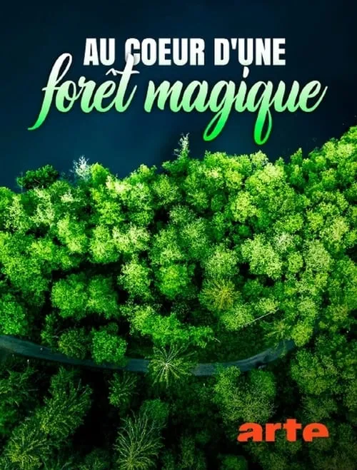 Au cœur d'une forêt magique