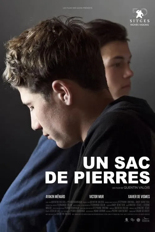 Un sac de pierres (movie)