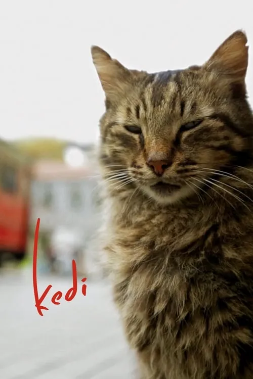 Kedi (movie)