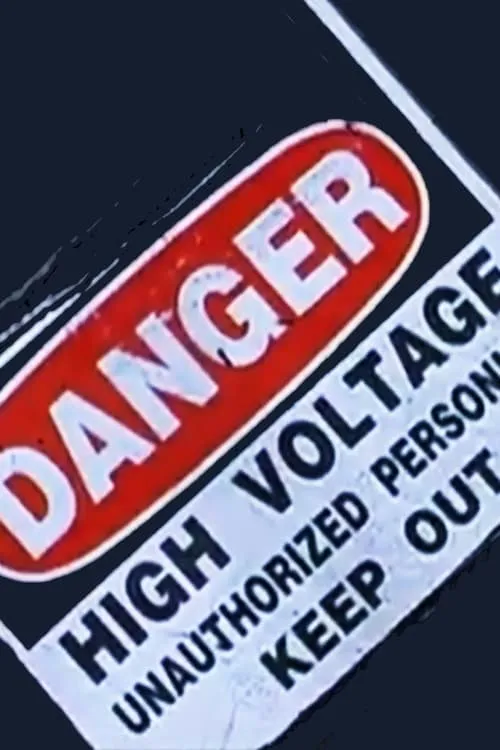 Danger: High Voltage (movie)