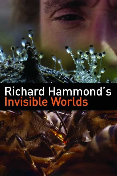 Richard Hammond's Invisible Worlds (series)