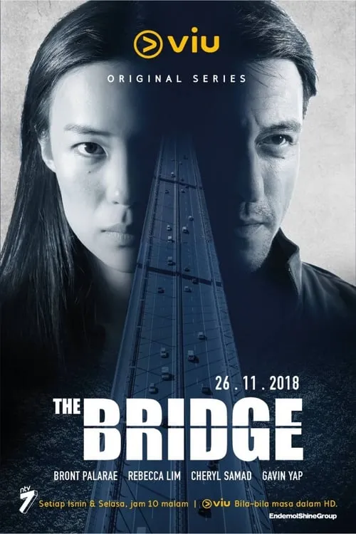 The Bridge (series)