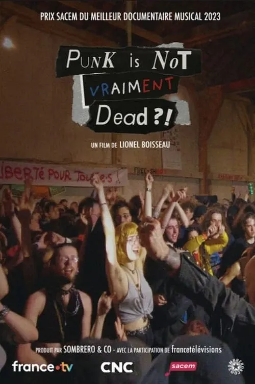 Punk is not vraiment dead ?! (movie)