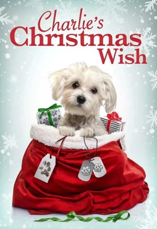 Charlie's Christmas Wish (movie)