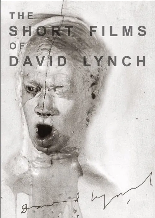 The Short Films of David Lynch (movie)