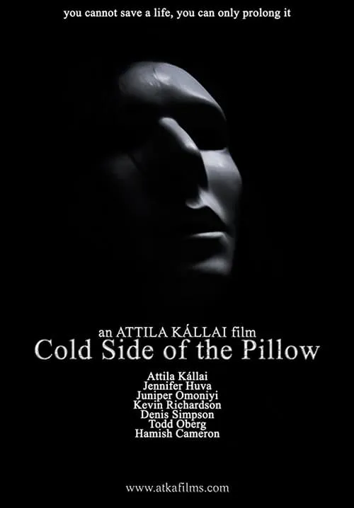 Cold Side of the Pillow (фильм)