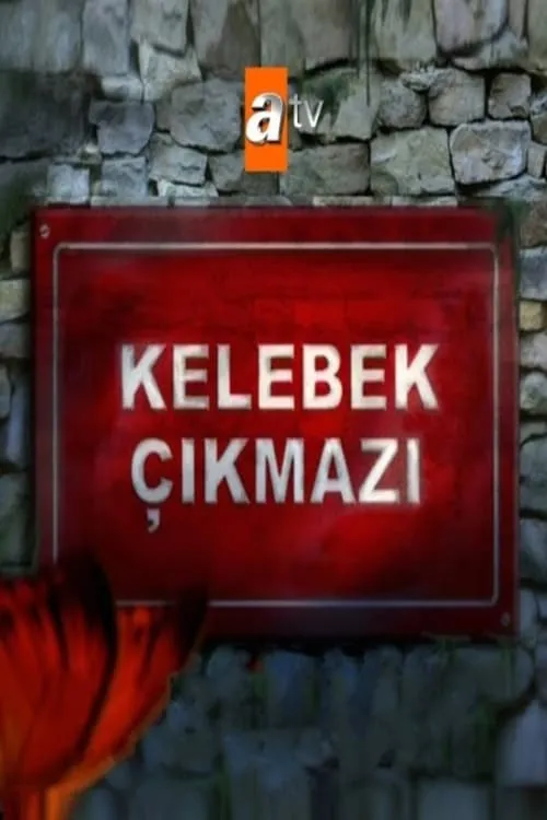 Kelebek Çıkmazı (сериал)