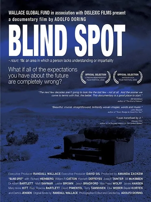 Blind Spot (movie)