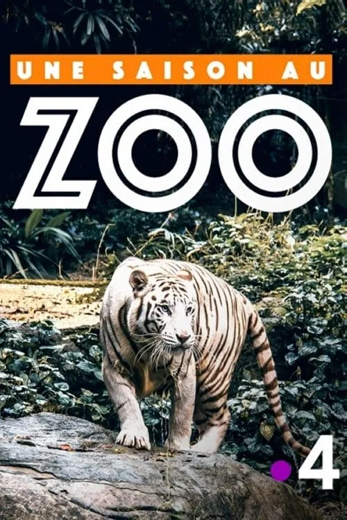 Une saison au zoo (сериал)