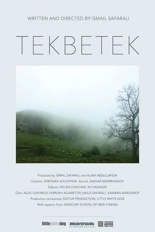 Tekbetek (movie)