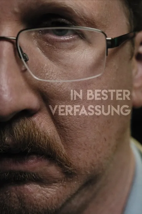 In bester Verfassung (сериал)