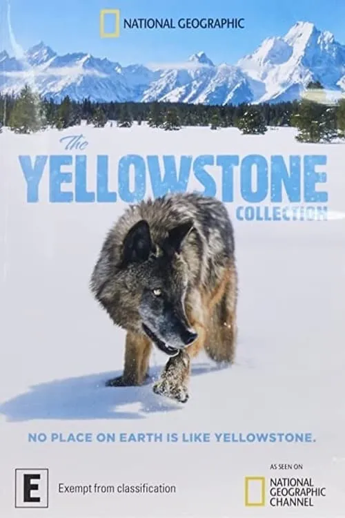 The Yellowstone Collection (series)