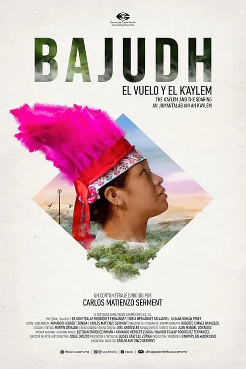 Bajudh (movie)