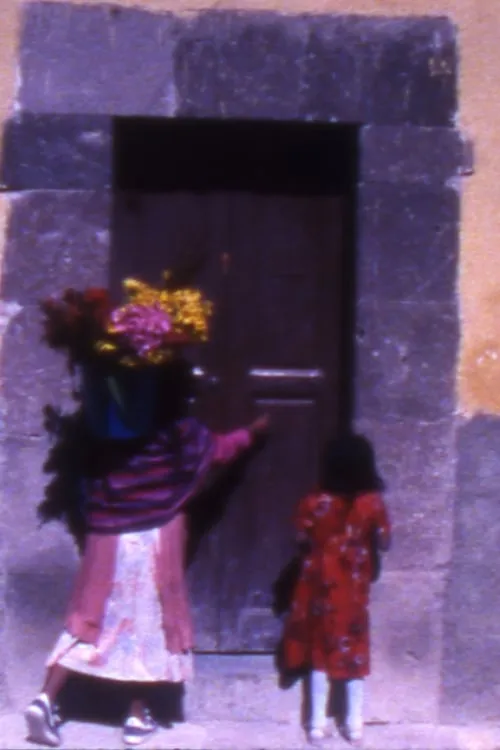 Woman with Flowers (movie)