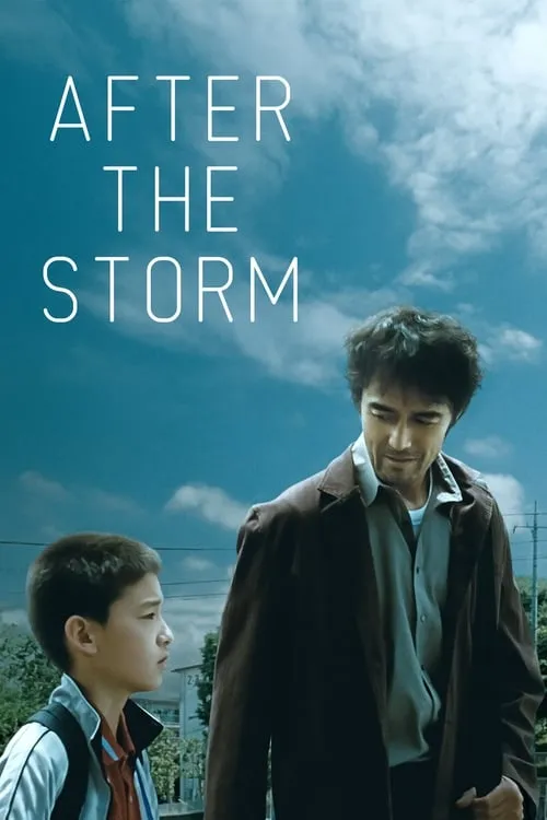 After the Storm (movie)