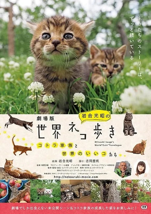 劇場版　岩合光昭の世界ネコ歩き　コトラ家族と世界のいいコたち (movie)