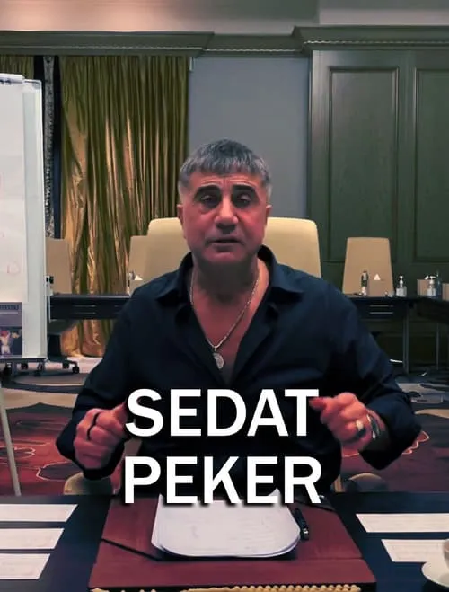 Sedat Peker vs AKP (сериал)