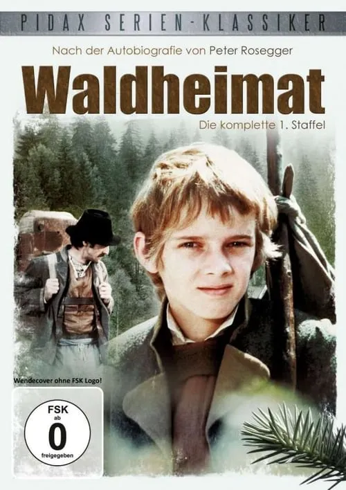 Waldheimat (сериал)