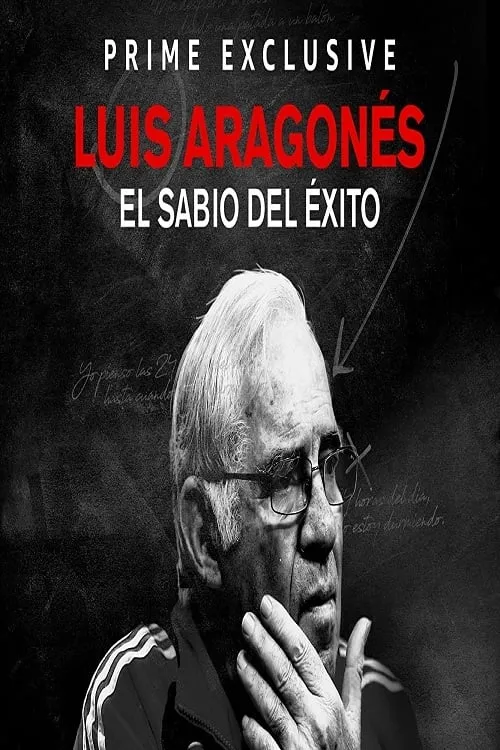 Luis Aragonés, el sabio del éxito (сериал)