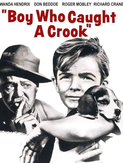 Boy Who Caught a Crook (movie)