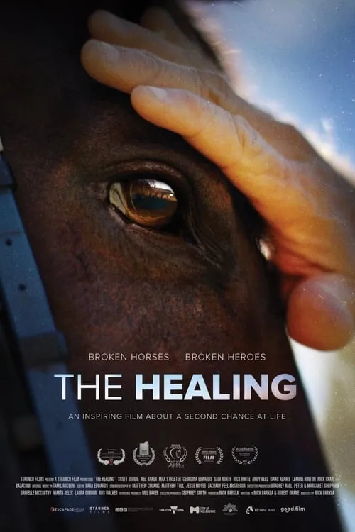 The Healing (movie)