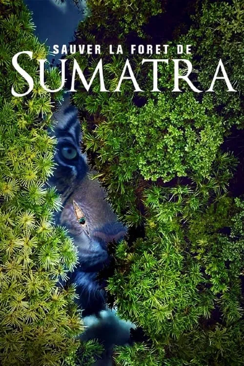 Save the Sumatran Forest (movie)