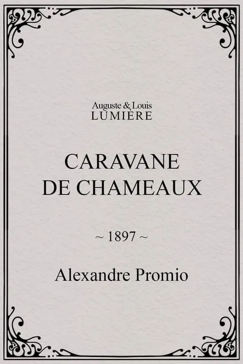 Caravane de chameaux