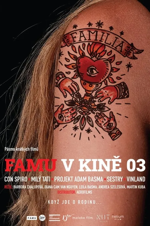 FAMU v kině 03 (фильм)