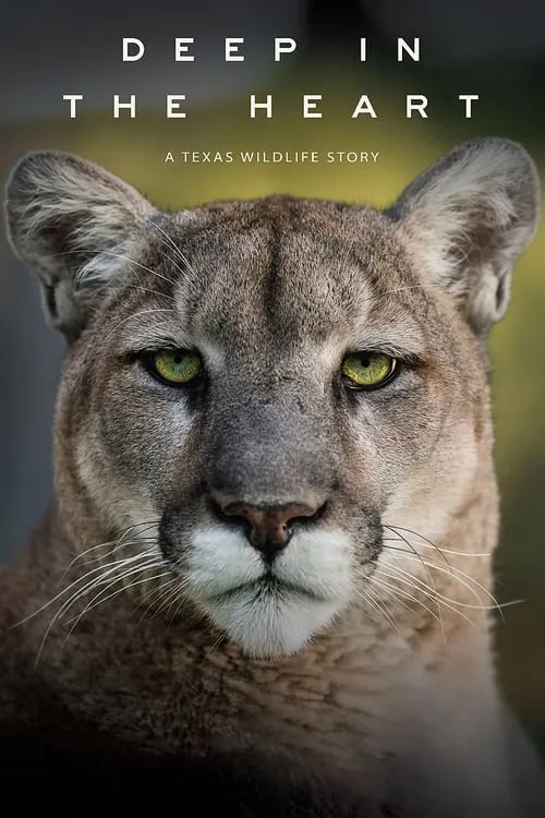 Deep in the Heart: A Texas Wildlife Story (movie)