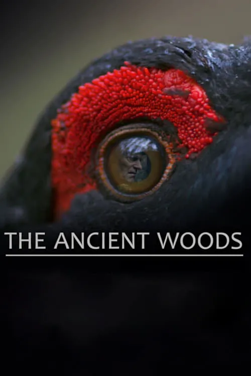 The Ancient Woods (movie)