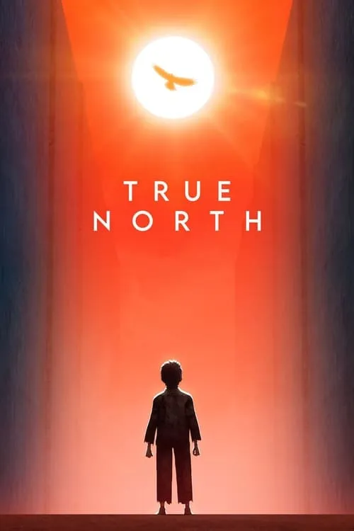 True North (фильм)