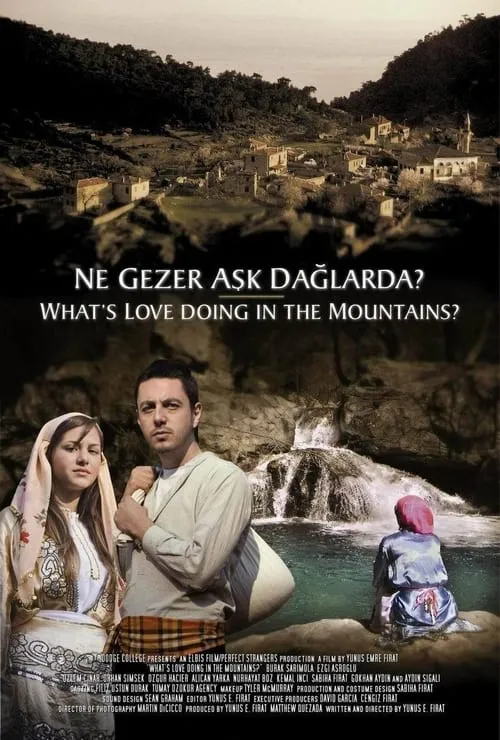 Ne Gezer Aşk Dağlarda? (фильм)