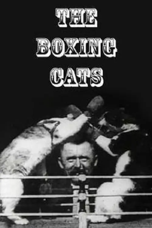 The Boxing Cats (movie)