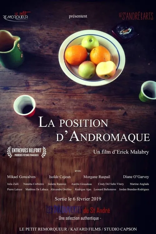 La Position d'Andromaque (фильм)