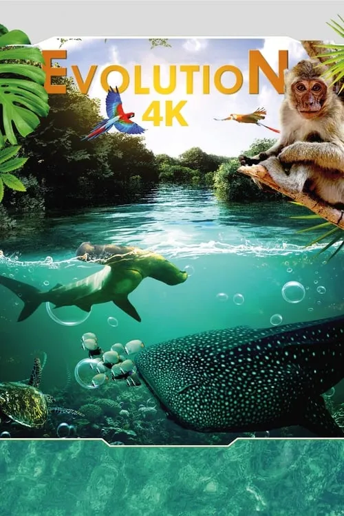 Evolution 4K (фильм)