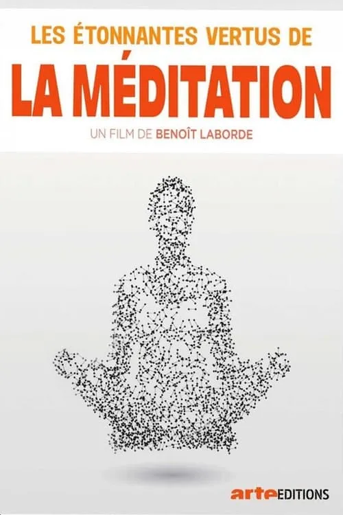 Les étonnantes vertus de la méditation (фильм)