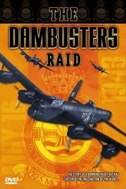 The Dambusters Raid (movie)