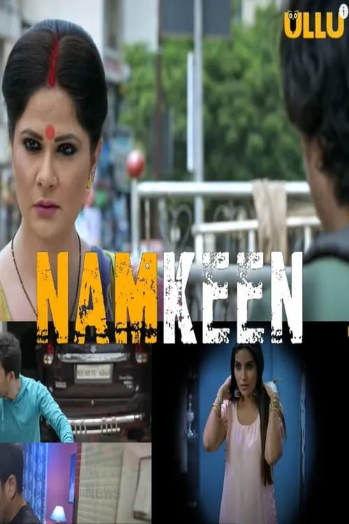 Namkeen (series)