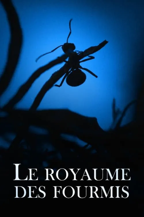 Le Royaume des fourmis (movie)