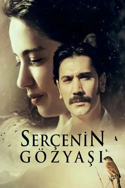 Serçenin Gözyaşı