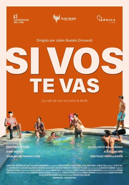 Si Vos Te Vas (фильм)