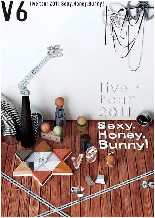 V6 live tour 2011 Sexy.Honey.Bunny! (фильм)