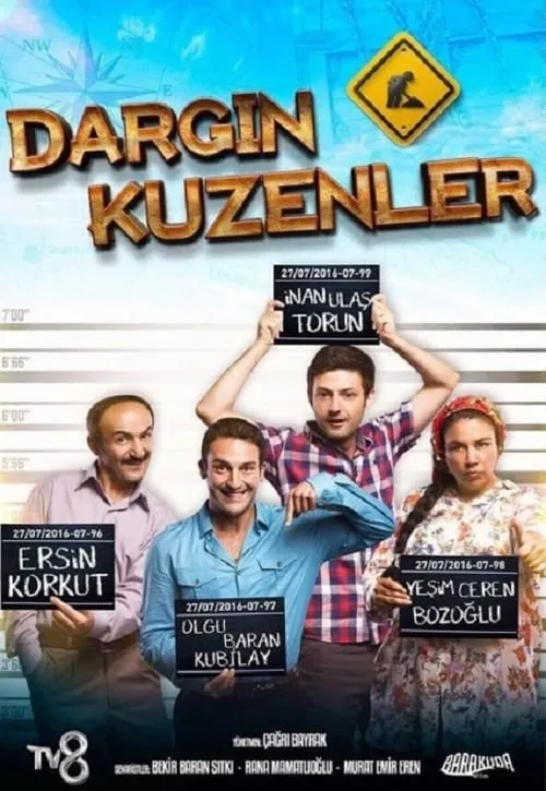 Dargın Kuzenler (фильм)