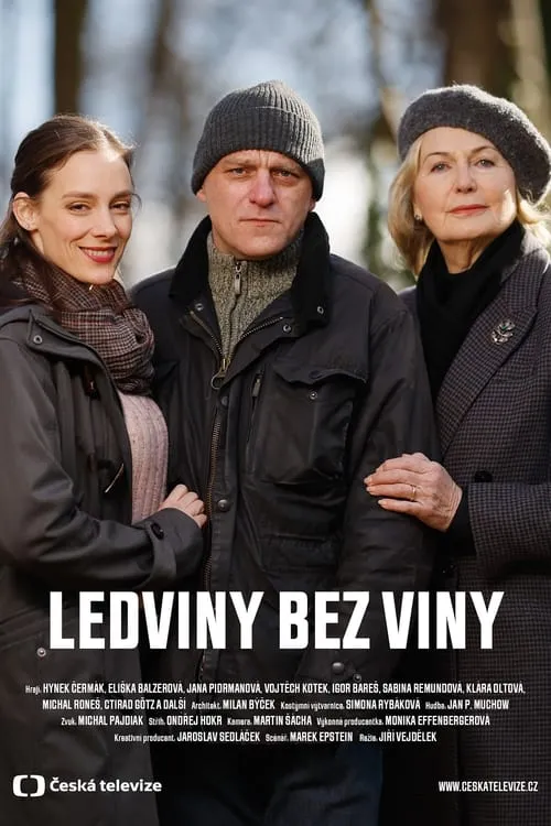 Ledviny bez viny (фильм)