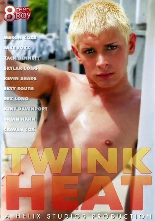 Twink Heat (фильм)