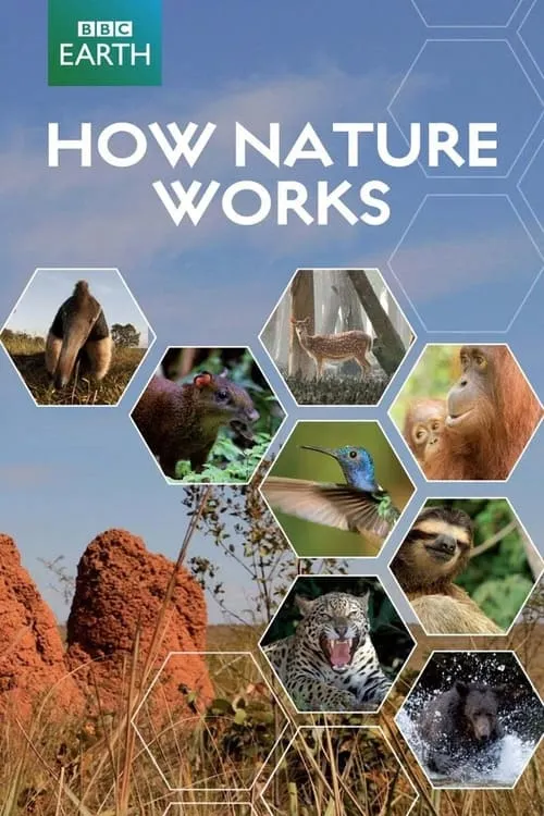 How Nature Works