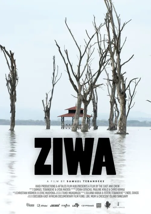 Ziwa (movie)