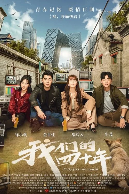 我们的四十年 (сериал)